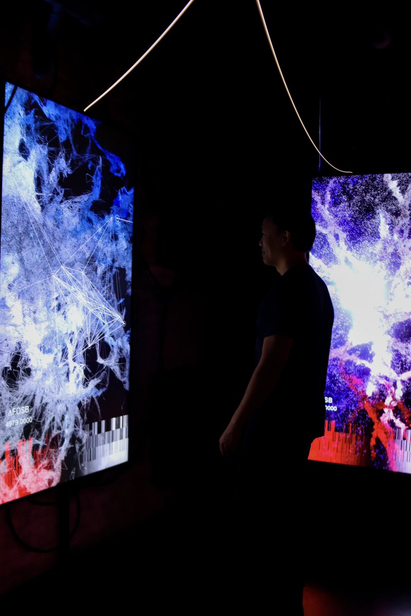 artechouse's tweet photo. Discover interactive installations that teach you more about the human brain at #ARTECHOUSENYC. These installations explore how neurons make connections, how drug abuse affects our neural connections, and more. #LifeofaNeuron @SfNtweets https://t.co/LrpUI9ArYX https://t.co/u34r7yQ2AT
