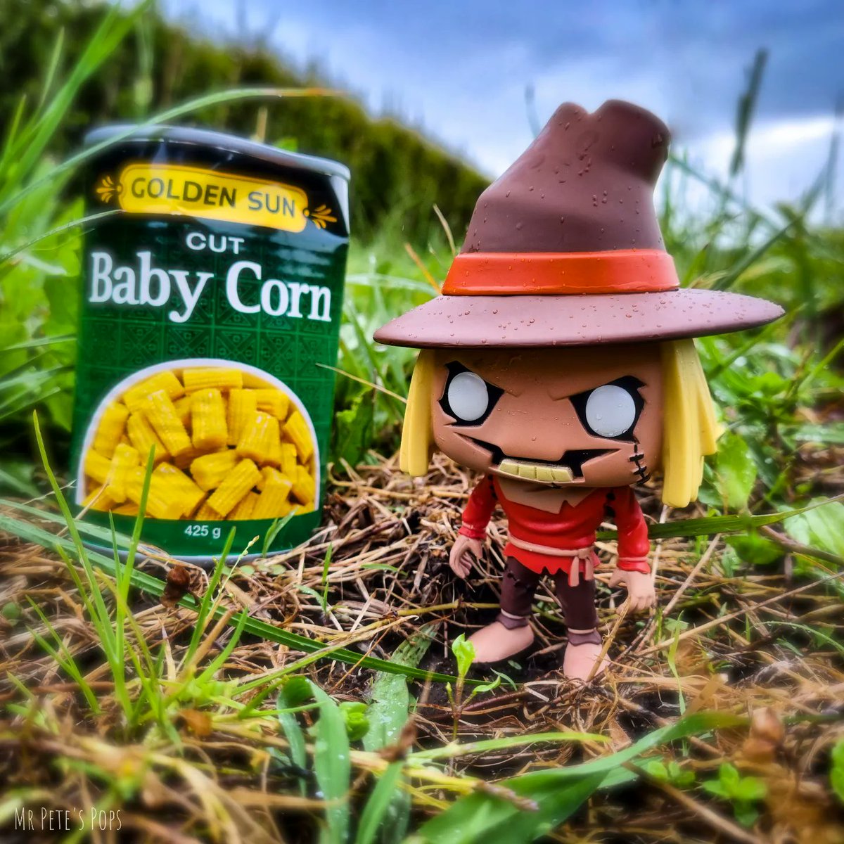 Mrpetespops's tweet image. #FunkoPhotoADayChallange
@originalfunko

CORN MAZE 🌽 

#originalfunko 
#funko
#funkofeature 
#scarecrow
#batmantheanimatedseries
#btas
#batman
#dccomics
#corn
#cornfield
#can
#nature 
#Halloween 
#funkofamily 
#myfunkostory 
#funkofanclub