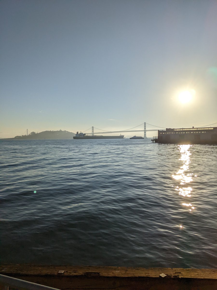 chuck.* 🥑 tweet media