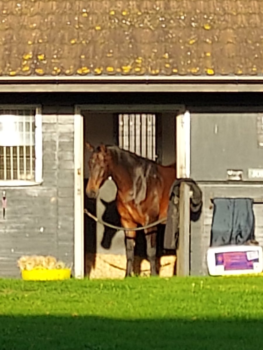 Louise Weir tweet media