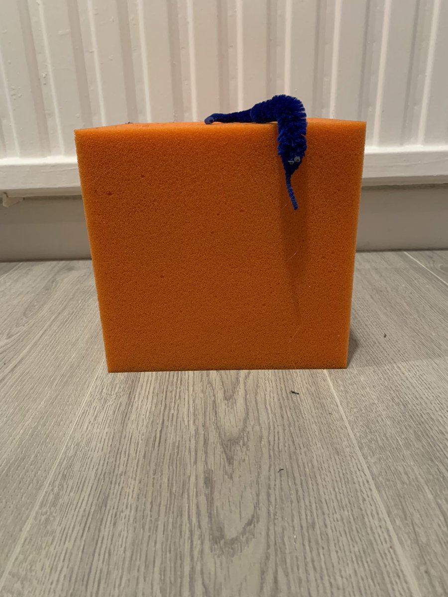 dans200thcube's tweet image. Day 32!
Worm. Worm on string. Wiggles.
xoxo
Cube 200
@danielhowell #danielhowell #danhowell #doomedtour #wadtour #werealldoomedtour #werealldoomed