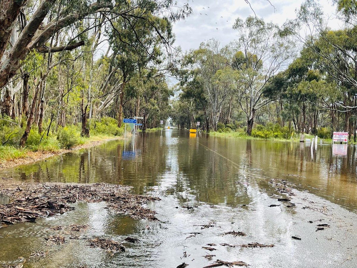 FleurFerris's tweet photo. Old Deniliquin Road and Old Barmah Road. #flood #moama https://t.co/0YcWdQpc6y