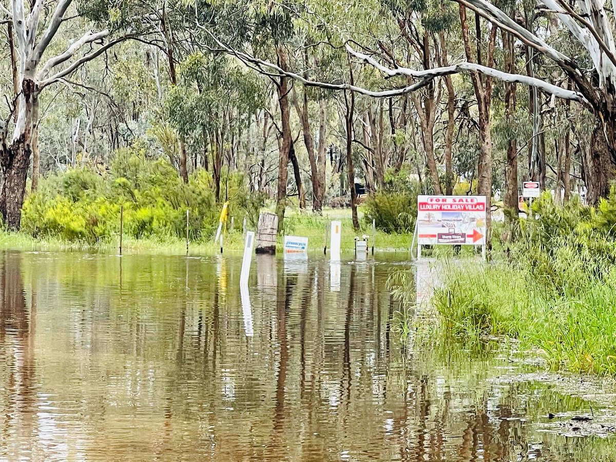 FleurFerris's tweet photo. Old Deniliquin Road and Old Barmah Road. #flood #moama https://t.co/0YcWdQpc6y