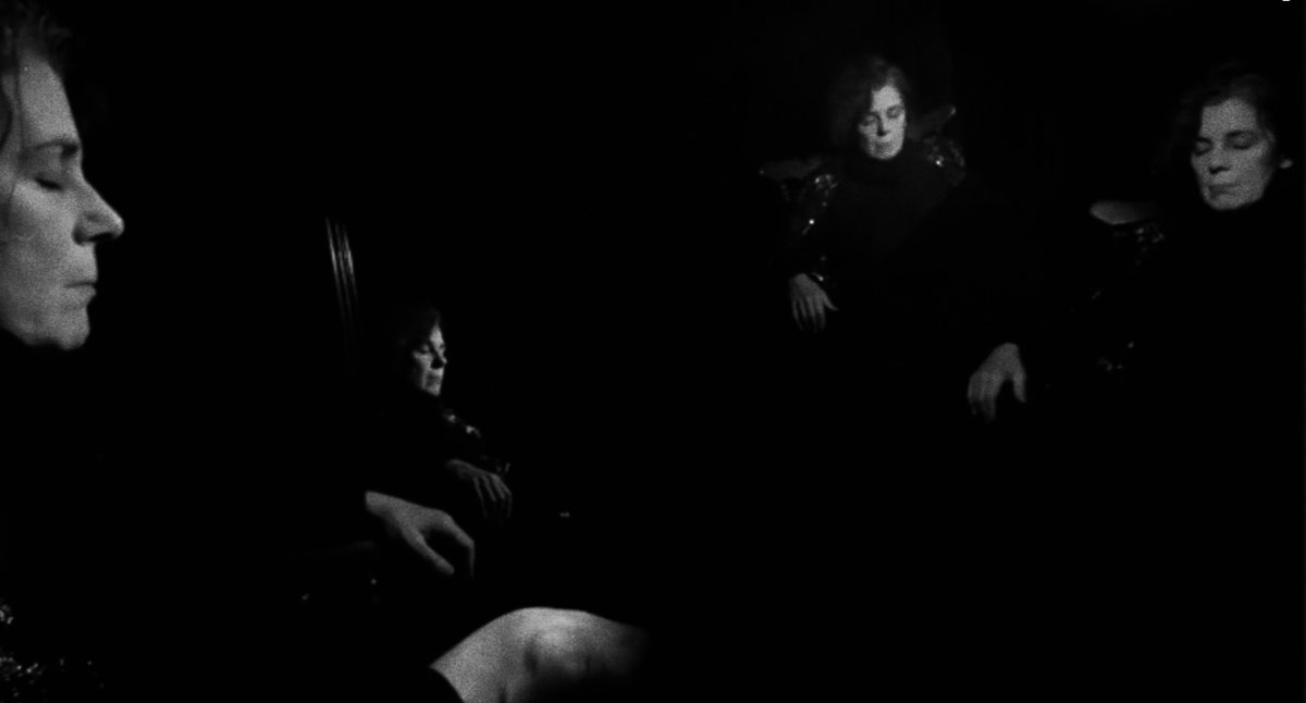 Paul Shields tweet media