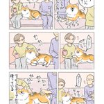 満足気な様子が可愛すぎる!ソファをマッサージチェア代わりに使う愛犬のお話!