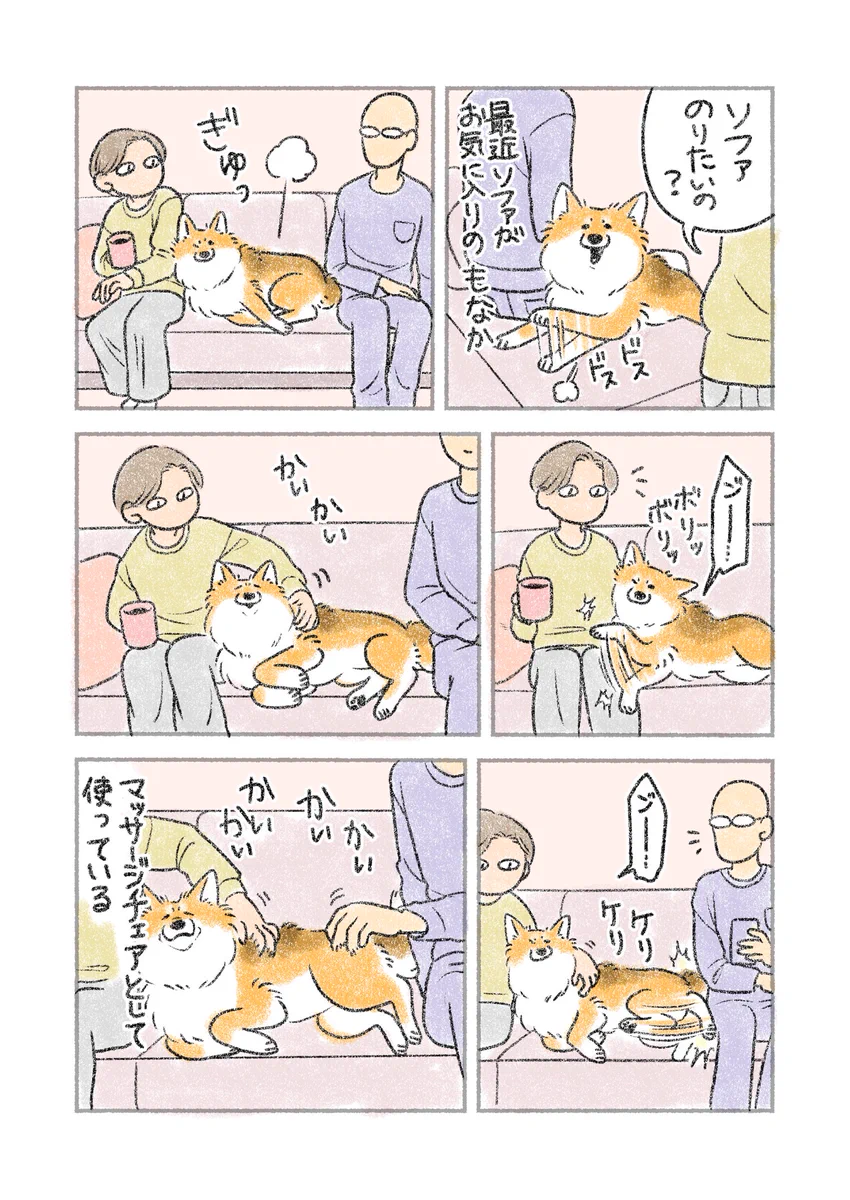 満足気な様子が可愛すぎる！ソファをマッサージチェア代わりに使う愛犬のお話！