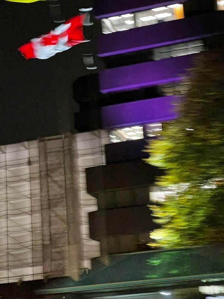 Exciting to visit some of the many building and landmarks lit in purple and blue in #Ottawa tonight! Let's  celebrate #disabilityinclusion in our workplaces and communities, and continue the conversations that need to be had. #LightItUpforNDEAM #DEAM2022 #MentorAbilityCanada