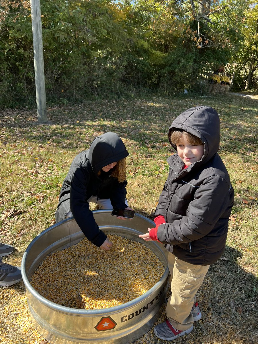 Our field trip to Sunny Acres Farm was so much fun! Corn, gourds, pumpkins, hay and horse rides! A great opportunity to learn more about weather/seasons! @AudubonES @LaquettaCarter7