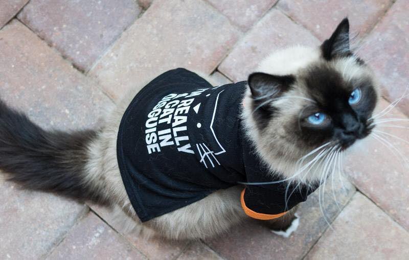 DrDelaneyKirk 🐾 tweet media