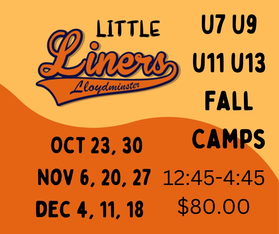 Lloyd Liners tweet media