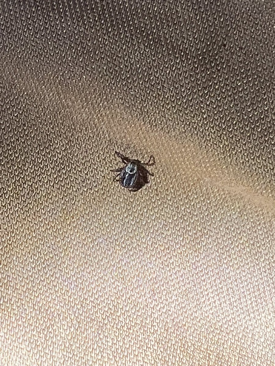 Кипер LA tweet media