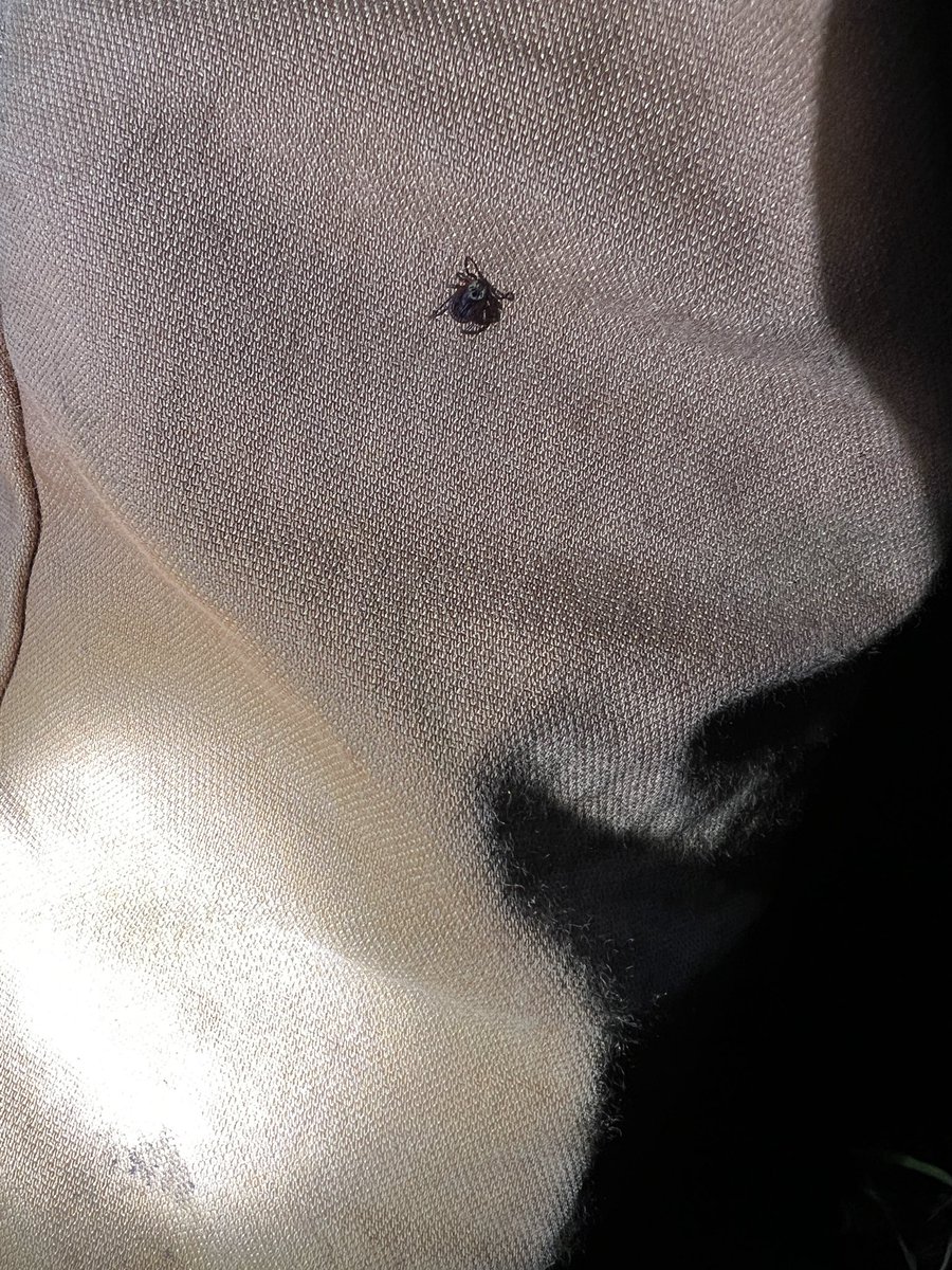 Кипер LA tweet media