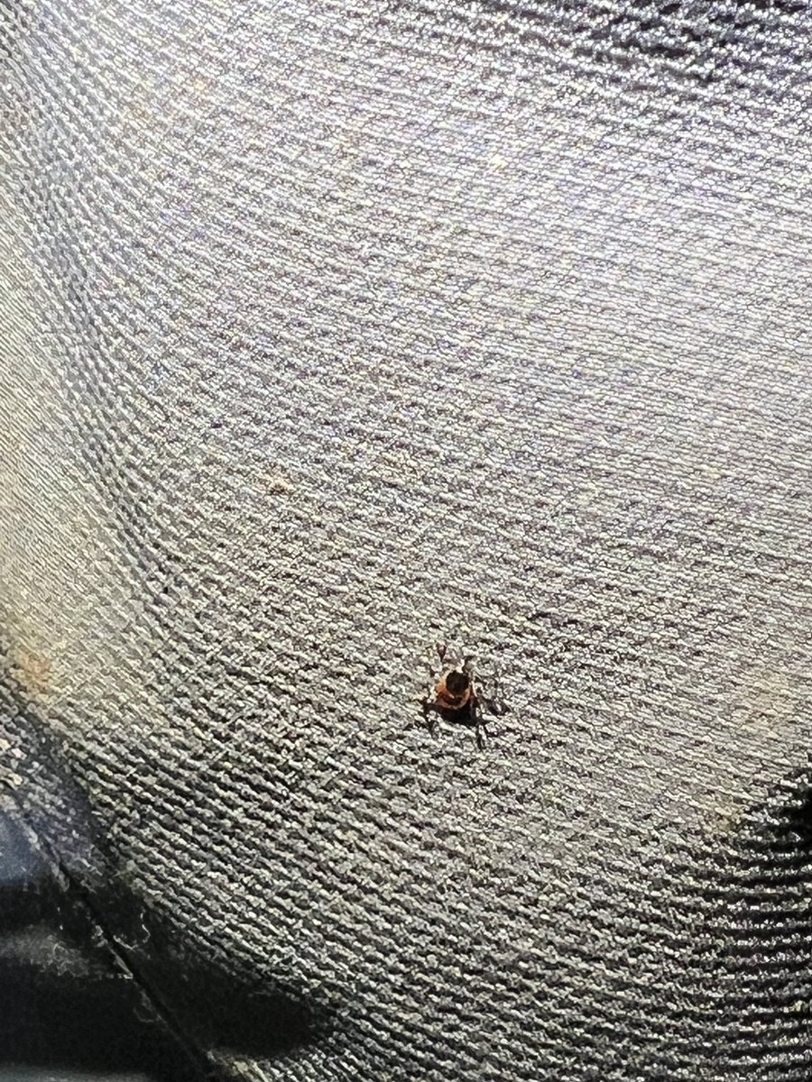 Кипер LA tweet media