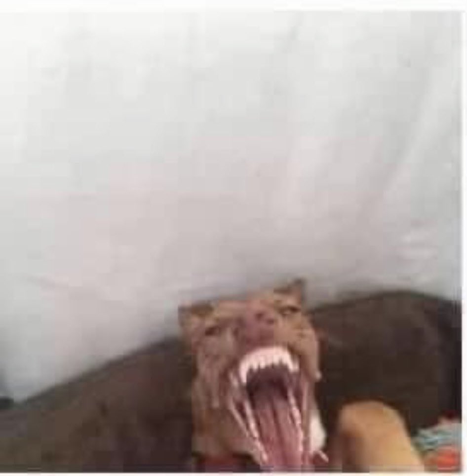 thugs_cry_2's tweet photo. Me every time my girl says anything funny https://t.co/liH5PeIlc0