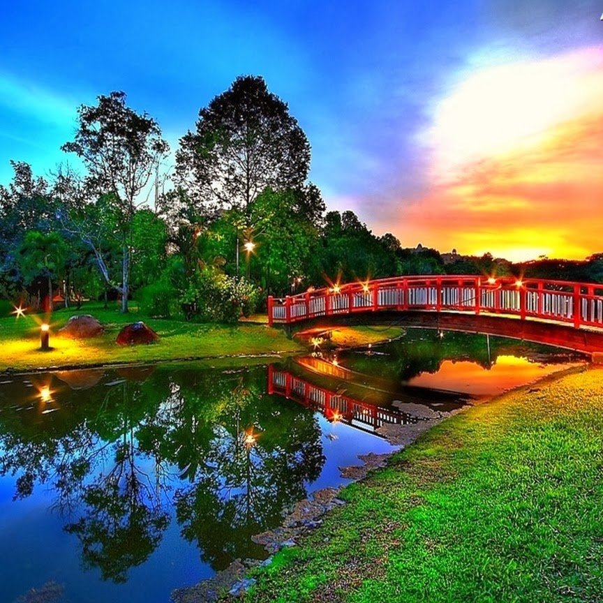 #صورة_ملف_شخصي_جديدة