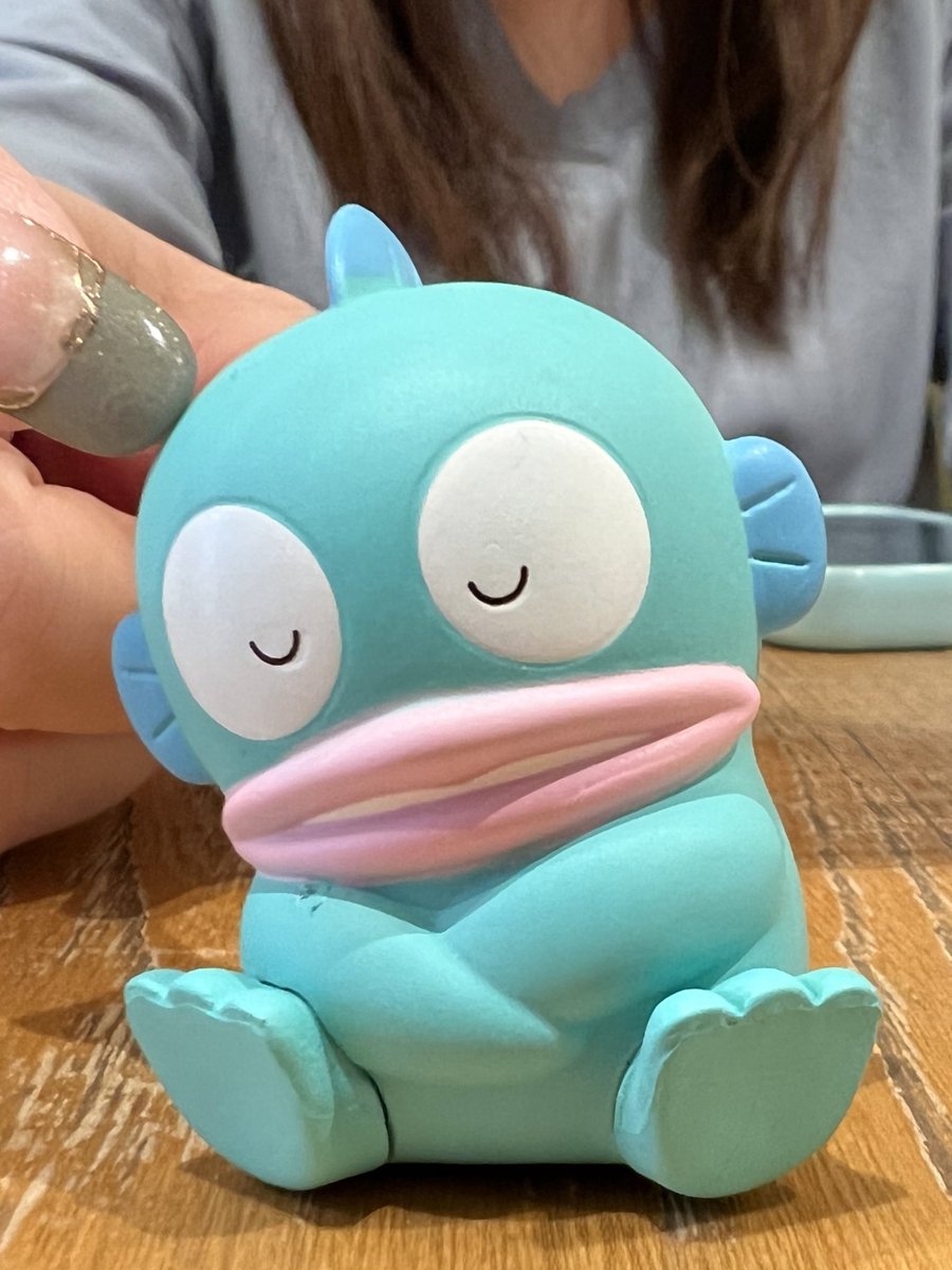 ayaka_1188's tweet photo. １回で出た🥺💙
母にツンツンされてる図
#ハンギョドン https://t.co/CEDokAn5i2