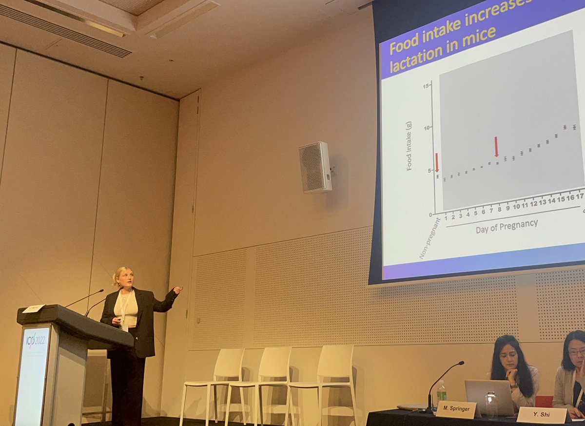 PhD student @ChantelleLeighM presenting her talk Sensitivity of ghrelin induced feeding is altered in pregnancy and lactaion in Melbourne @WorldObesity #ICO2022 @ProlactinGuy