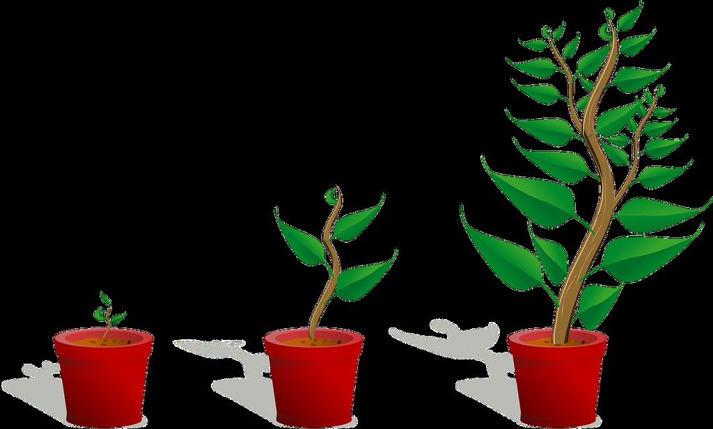 aaron_zamykal's tweet photo. With rapid advancement of technology, it is important for organisations to scale &amp; grow with the approach of innovation in a consistent &amp; dynamic sense.

#Integration #API #technology https://t.co/QI3hpI6Ug4