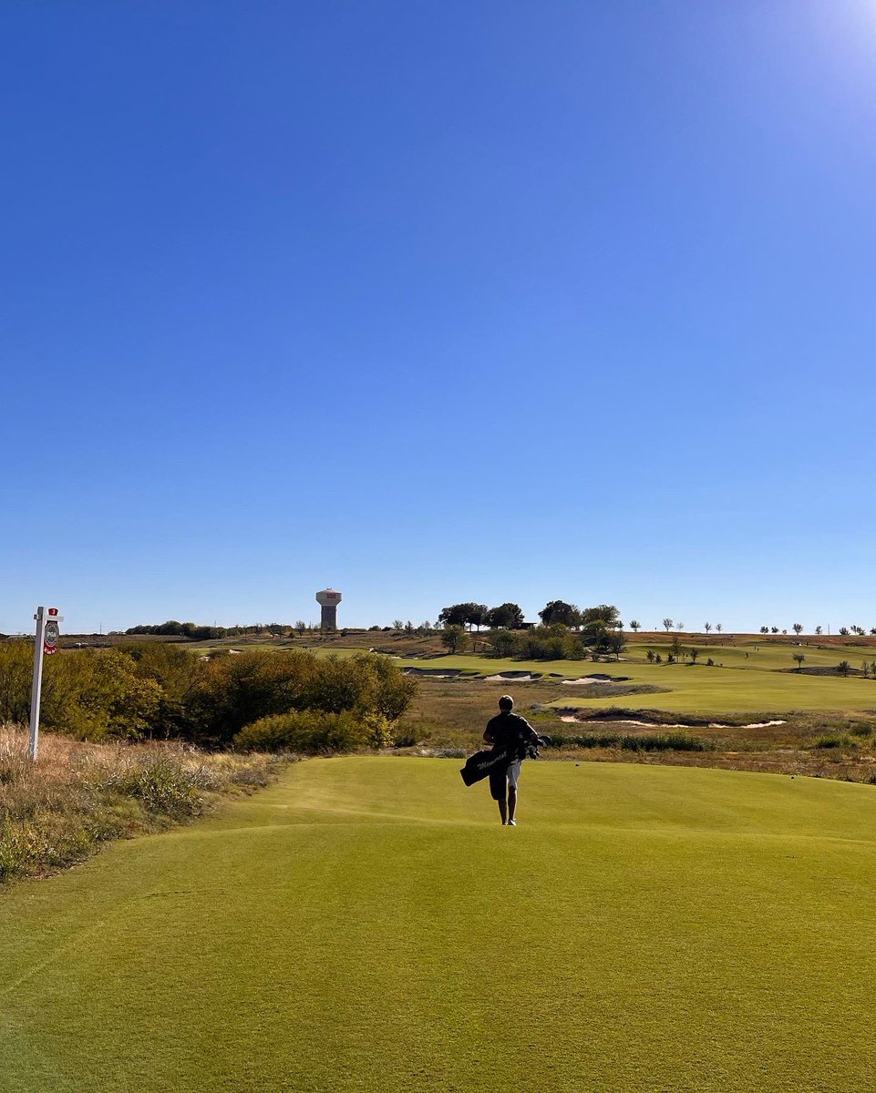 Beau Perry tweet media