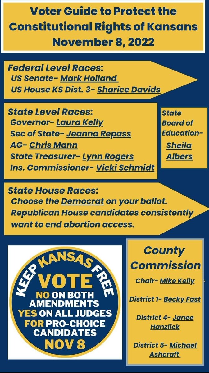 SusanRuiz_KS23's tweet photo. Compact voter guide to save on your phone. https://t.co/x1pg7OAwGi