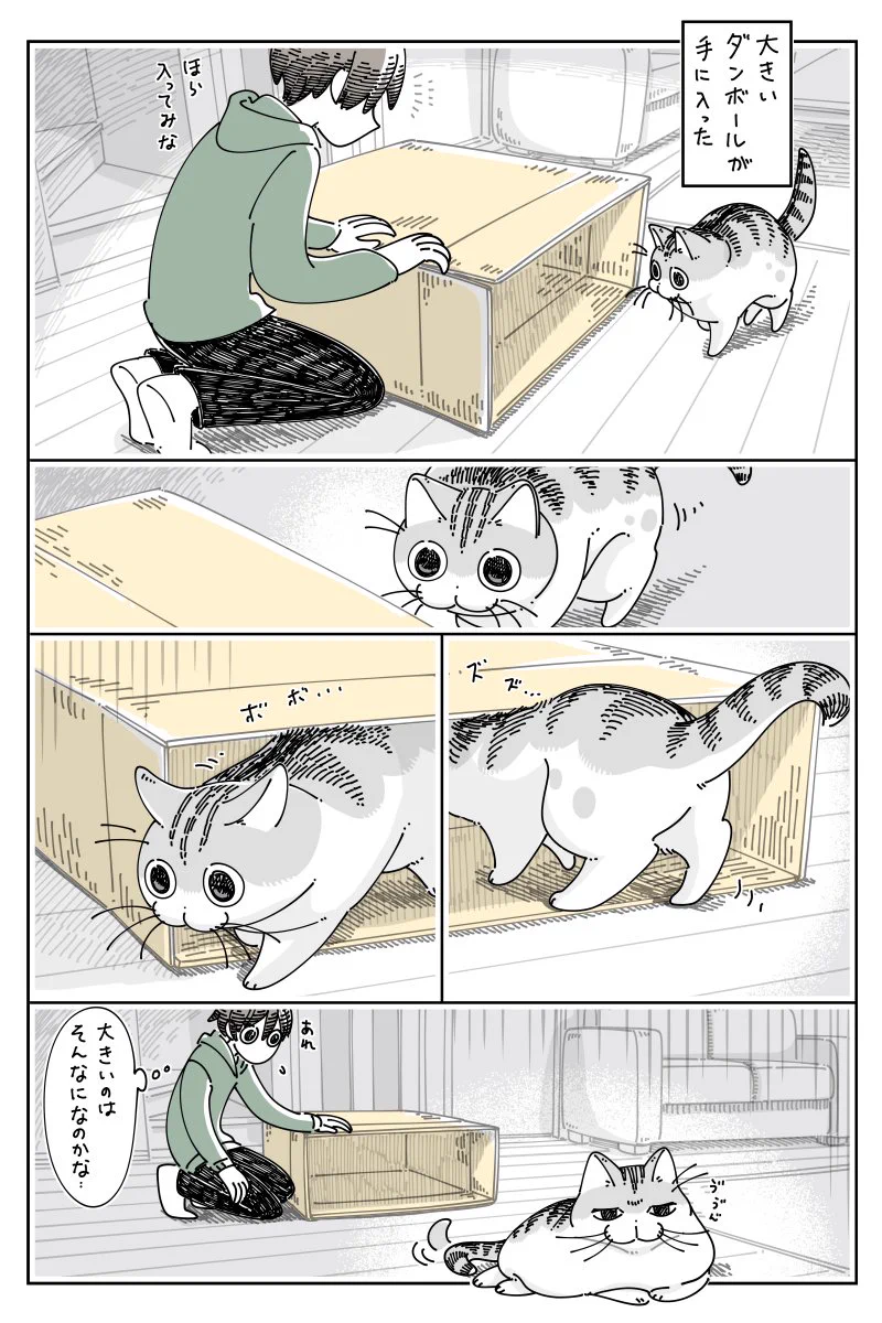 大きなダンボールにあまり興味を示してくれず、あれこれ工夫してみるも…！猫の心理を読む難しさがよく分かるお話！