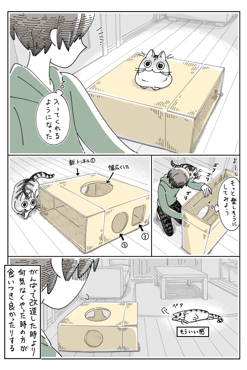 大きなダンボールにあまり興味を示してくれず、あれこれ工夫してみるも…！猫の心理を読む難しさがよく分かるお話！