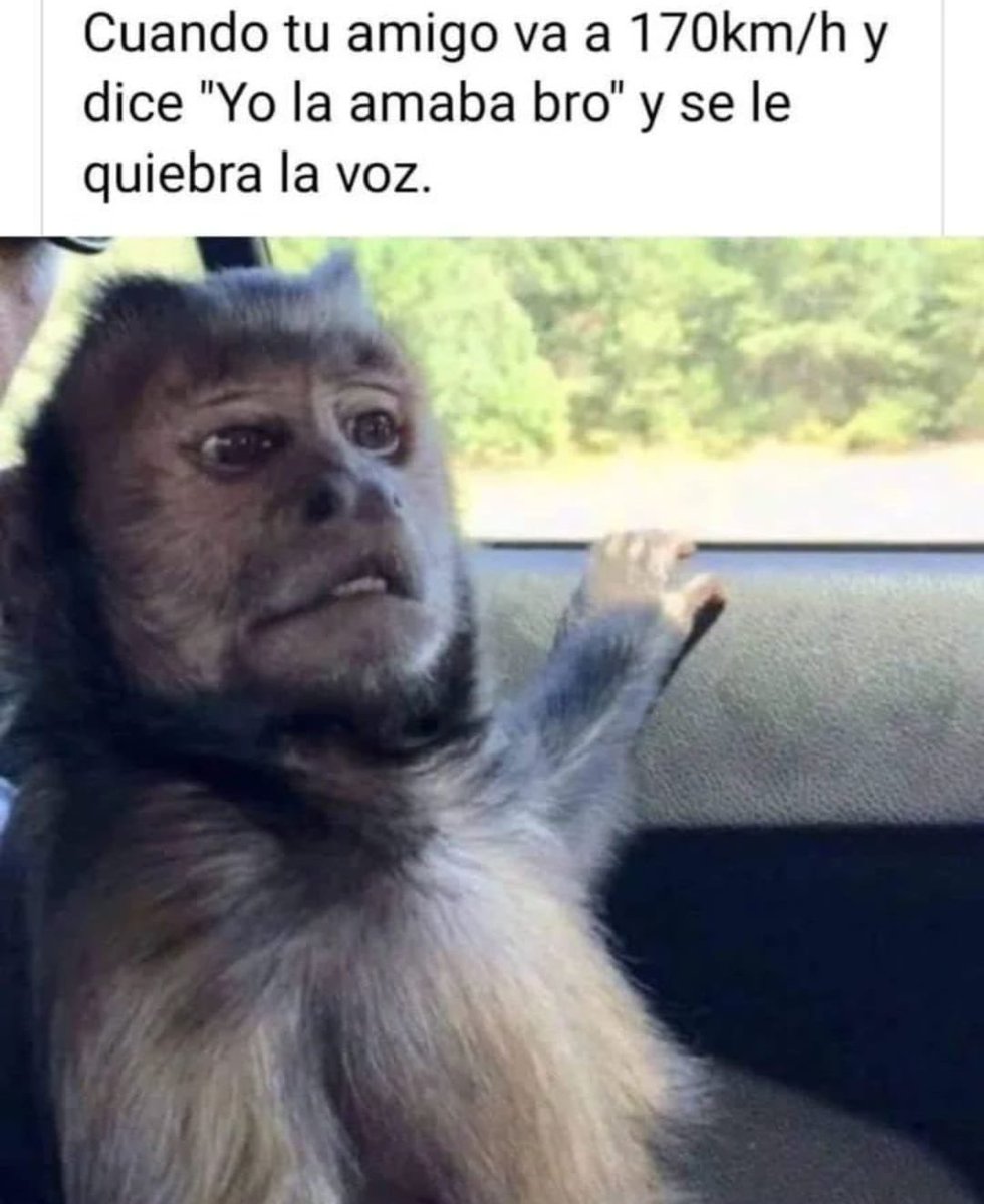 “Yo la amaba Bro”