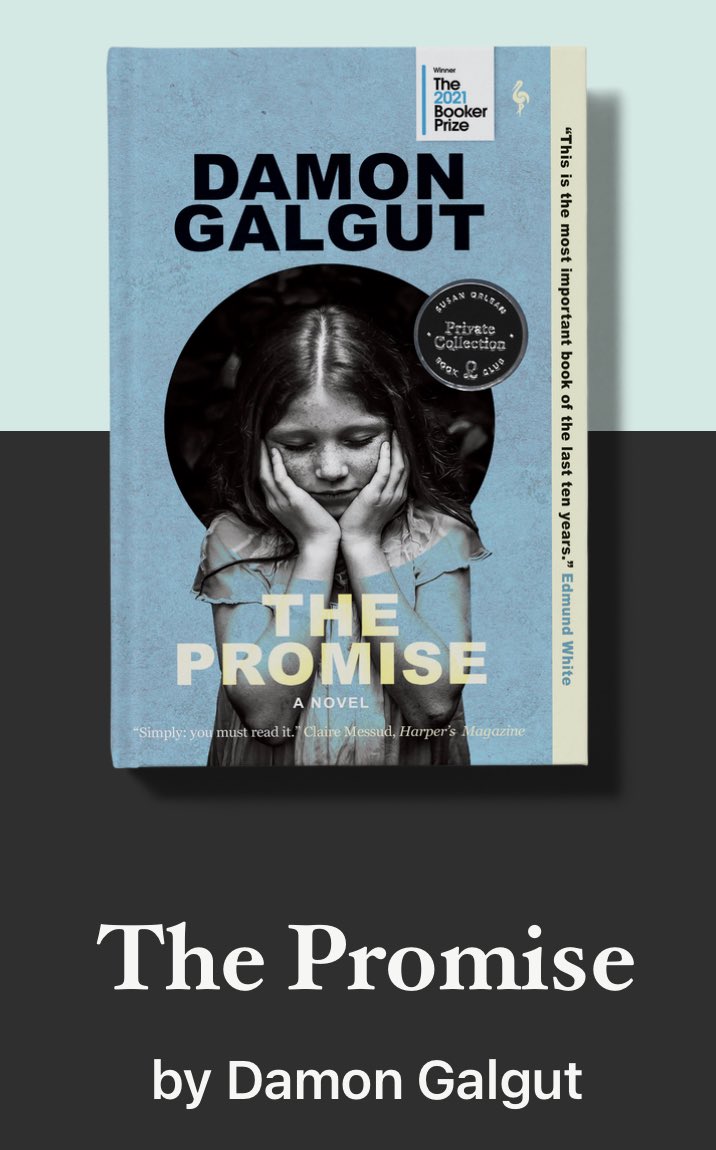 AmyBrownSeiber's tweet photo. @goodreads I just finished The Promise by Damon Galgut. So different, so much to it. I will definitely need to re read it down the road. https://t.co/MzFHPRddtn