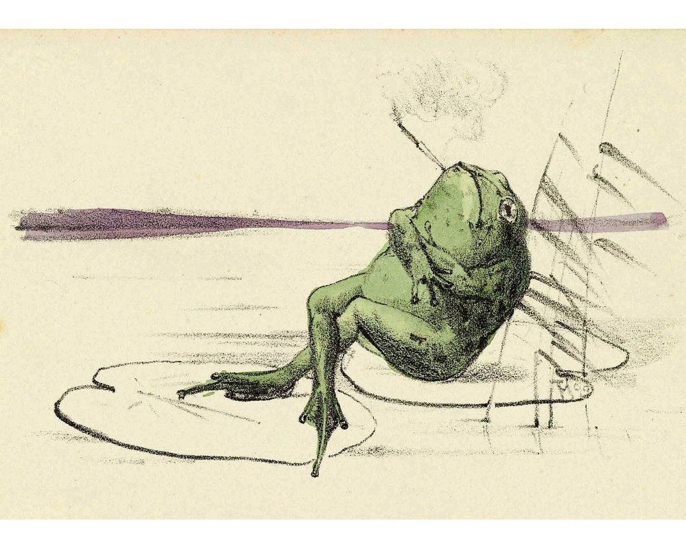 Frog smoking