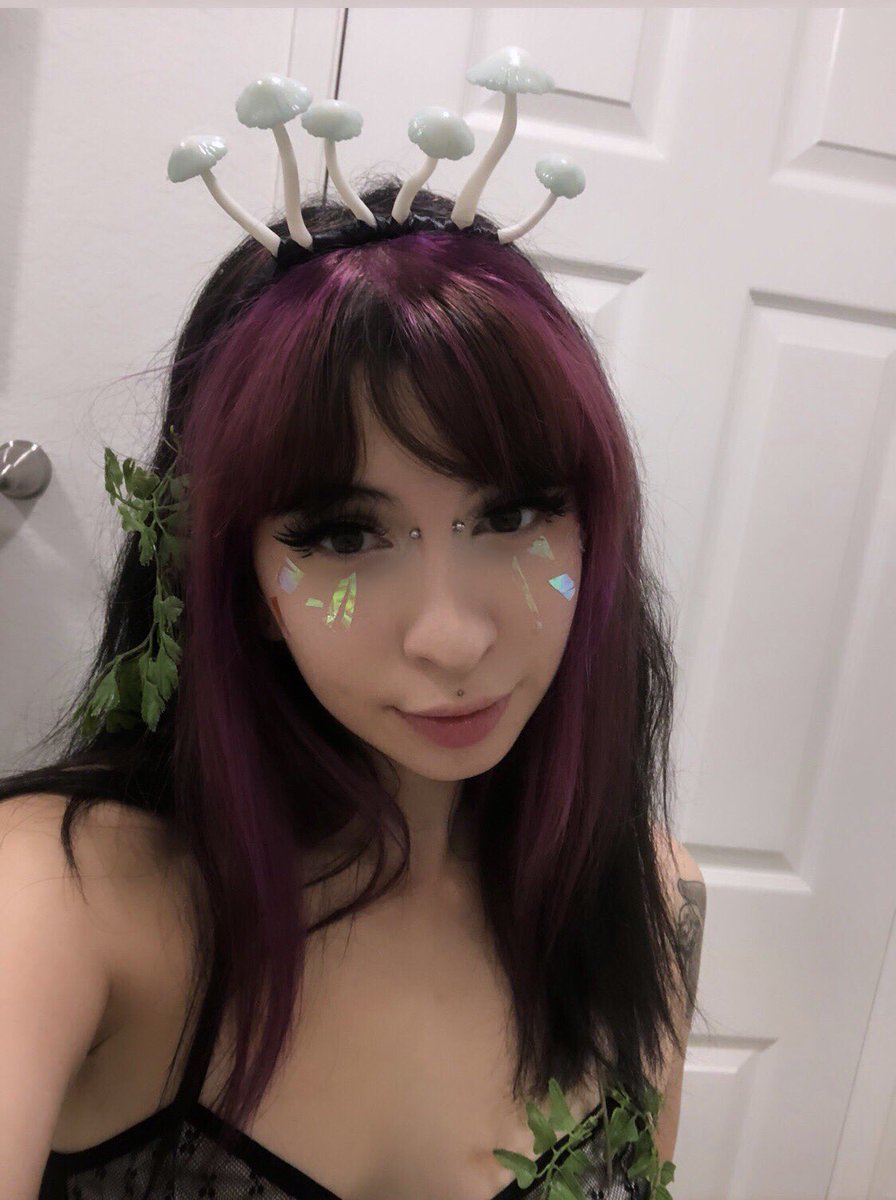 botanicaglow's tweet photo. Mushroom headbands, multiple colors available in shop🌿
https://t.co/3fFZAZeoka https://t.co/fWx8ryDMsD