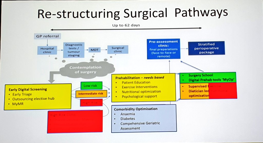 archiecurium's tweet image. Restructuring pathways to screen, evaluate, risk stratify and triage patients first, then decide a perioperative pathway based on their needs would represent more pt-centred approach - Dr Denny Levett, #CSCwgtn2022