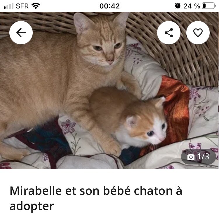 wingstylesx's tweet photo. Pardon mais c’est beaucoup trop mims pour ne pas partager https://t.co/mQs3KDYqN5