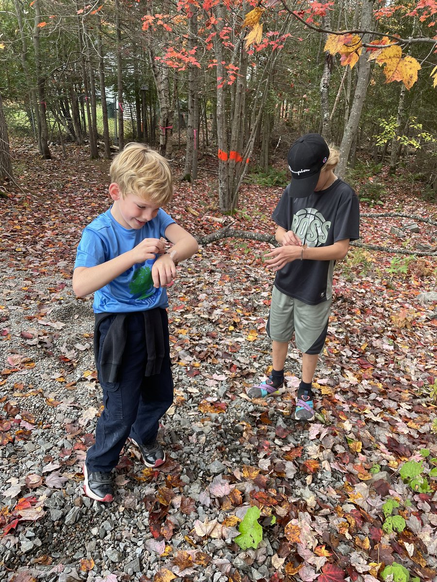 Mme Bendixen tweet media