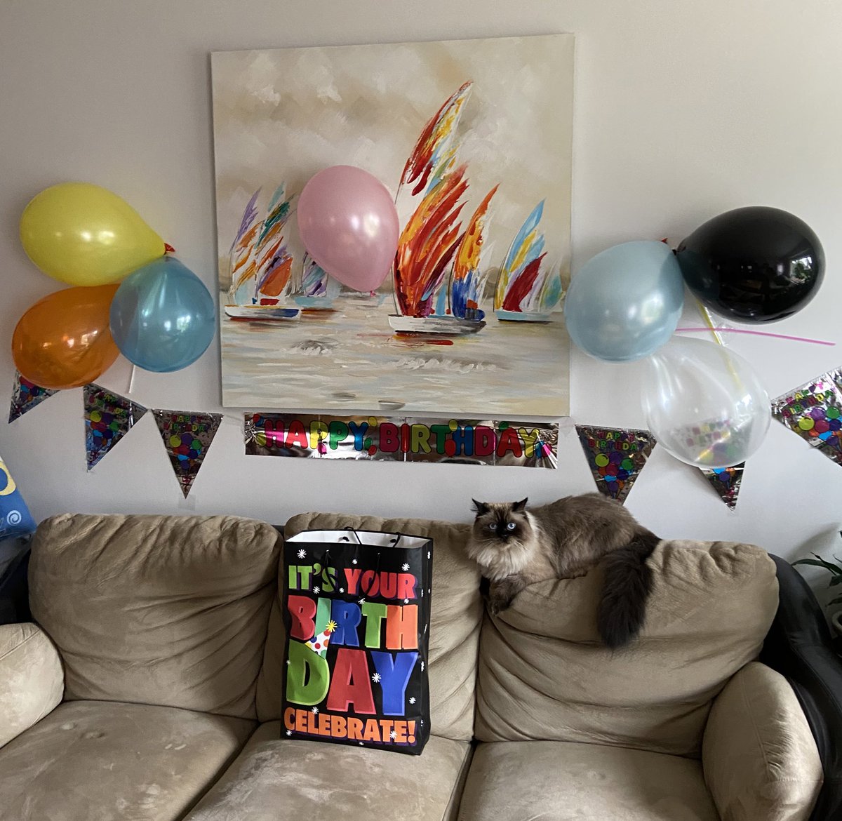 Today I turn TWO! 🥳🎉