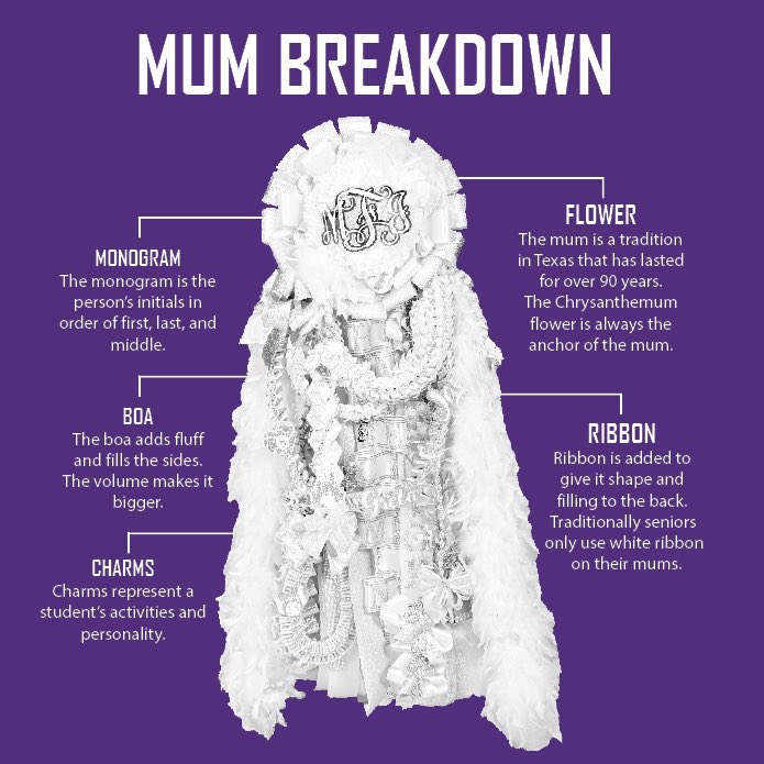 CFHSJournalism's tweet photo. Whatβs inside the traditional mum here at Fulshear? Let's take a look π #wearefu1shear #letsremembercfhs @Fulshear_HS https://t.co/W2livwXtoW