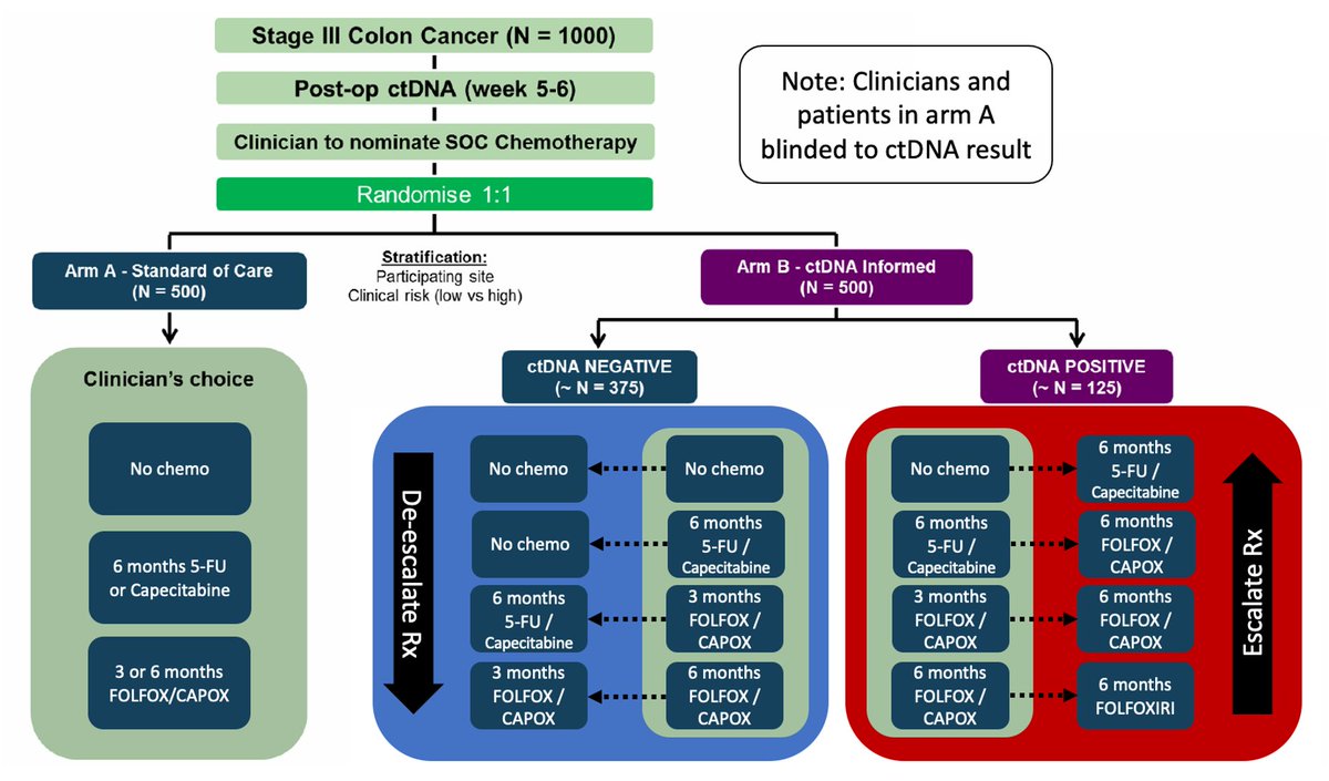 A 9-4 DYNAMIC-III/CO.29 Goal to⬇️toxicity in ctDNA (-) where risk is lower BUT ⬆️ intensity of chemo in ctDNA (+) where risk of recurrence is highest. Tx intensity uses a ladder based on what patient/physician choose would be their standard choice #CRCTrialsChat 2/3