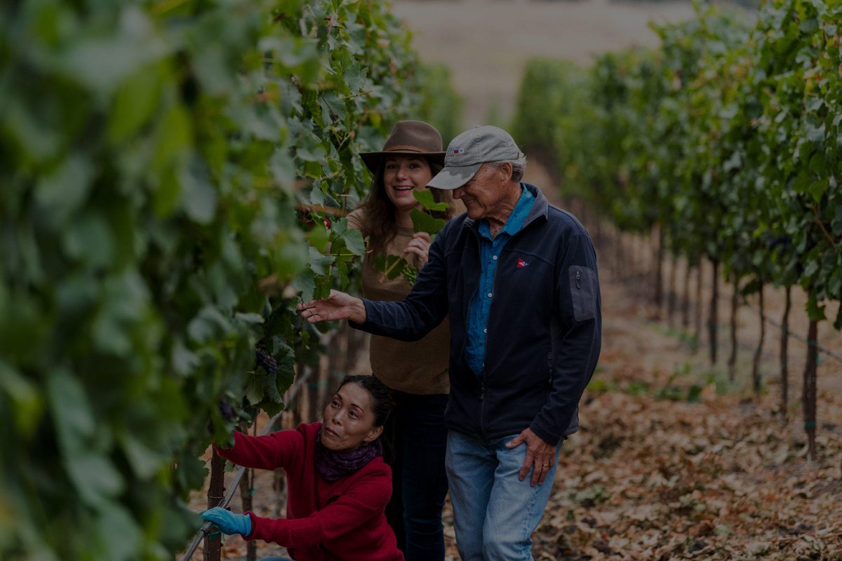 PetalumaGap's tweet photo. Hats off to Ron & Yun Noble and Megan Baccitich for these recent outstanding ratings on two #Pinots from #PetalumaGap:
2019 Ron Noble Family Blend Pinot Noir, 91 Pts, Connoisseurs' Guide to California Wine
2019 Estate Reserve #Pinot, TexSom Judges
https://t.co/nD9Xiz70FX https://t.co/1Y2KMD6jMK
