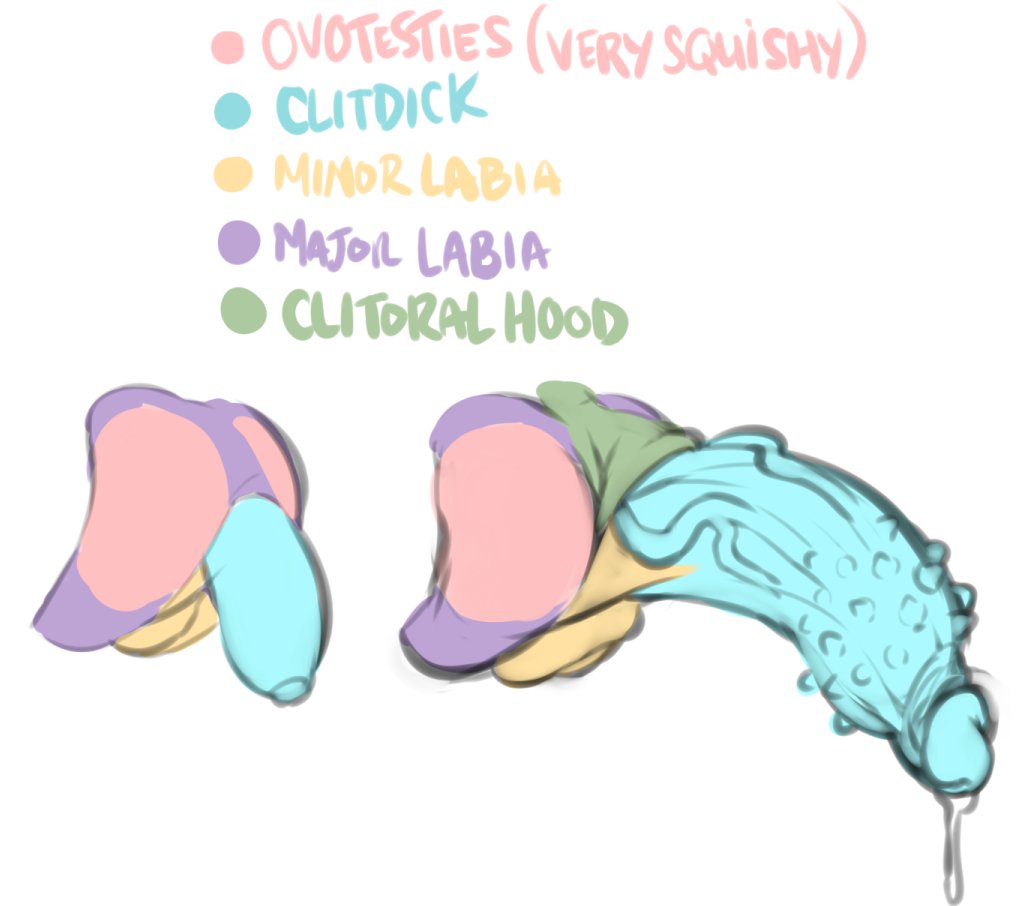 hephrodytea's tweet photo. messing with anatomy cuz ive been comfortable with intersex for a while now
#nsfw #nsfwart #hyperpussy #hypercunt #clit #clitdick #hyperclit https://t.co/VB9D27lOb6