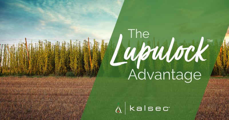Current yields have you thinking more about the long-term? We deliver similar hopping profiles that are more cost-effective and reliable. Choose a more sustainable solution with Kalsec's Lupulock.

kal.sc/3Vop6cC
#brewing #hops #craftbrew #kalsec #sustainablebrewing