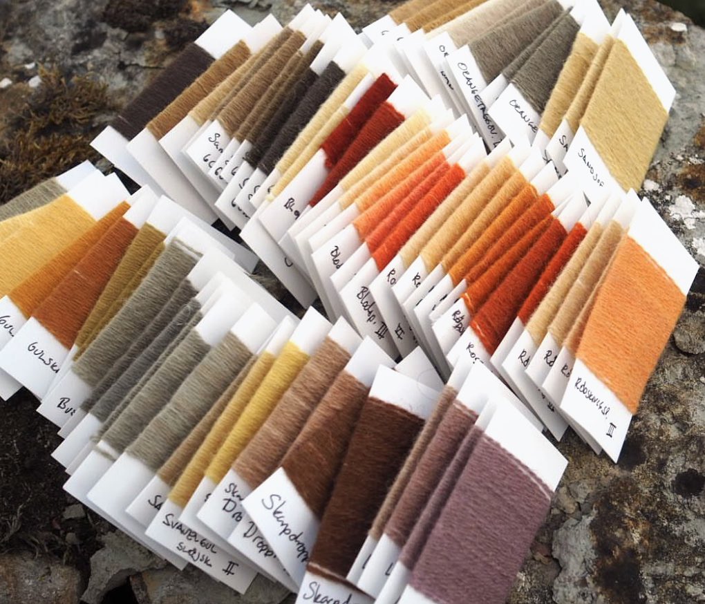redrubyrose_'s tweet photo. Mushroom dyed wool threads by Anna Kjellander. Colours from twelve different species near her home. Wow!

https://t.co/c6g2zRLdfC https://t.co/QKxd266qCU