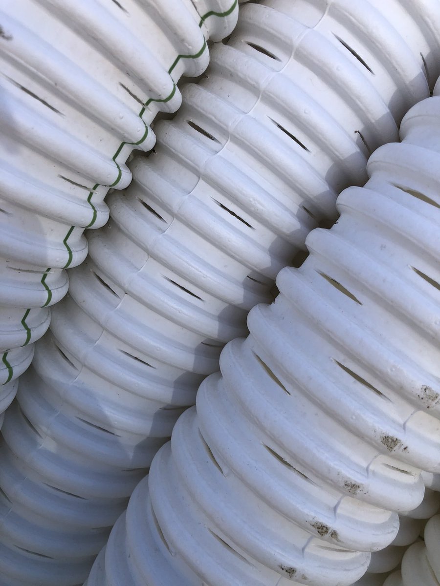 Joaquin Oliverio tweet media