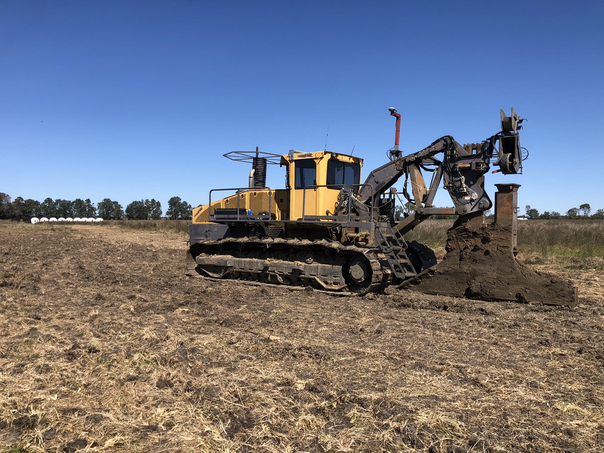 Joaquin Oliverio tweet media