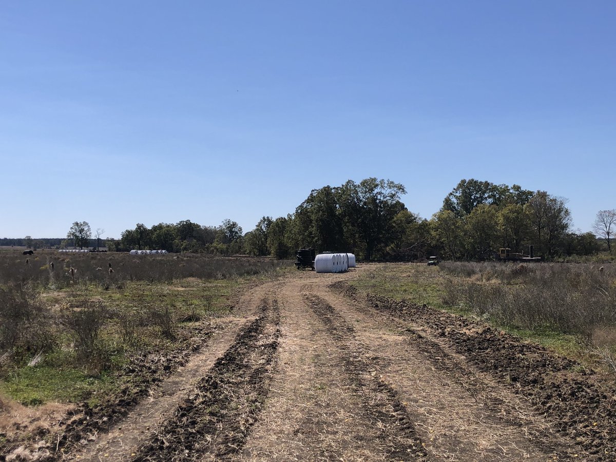 Joaquin Oliverio tweet media