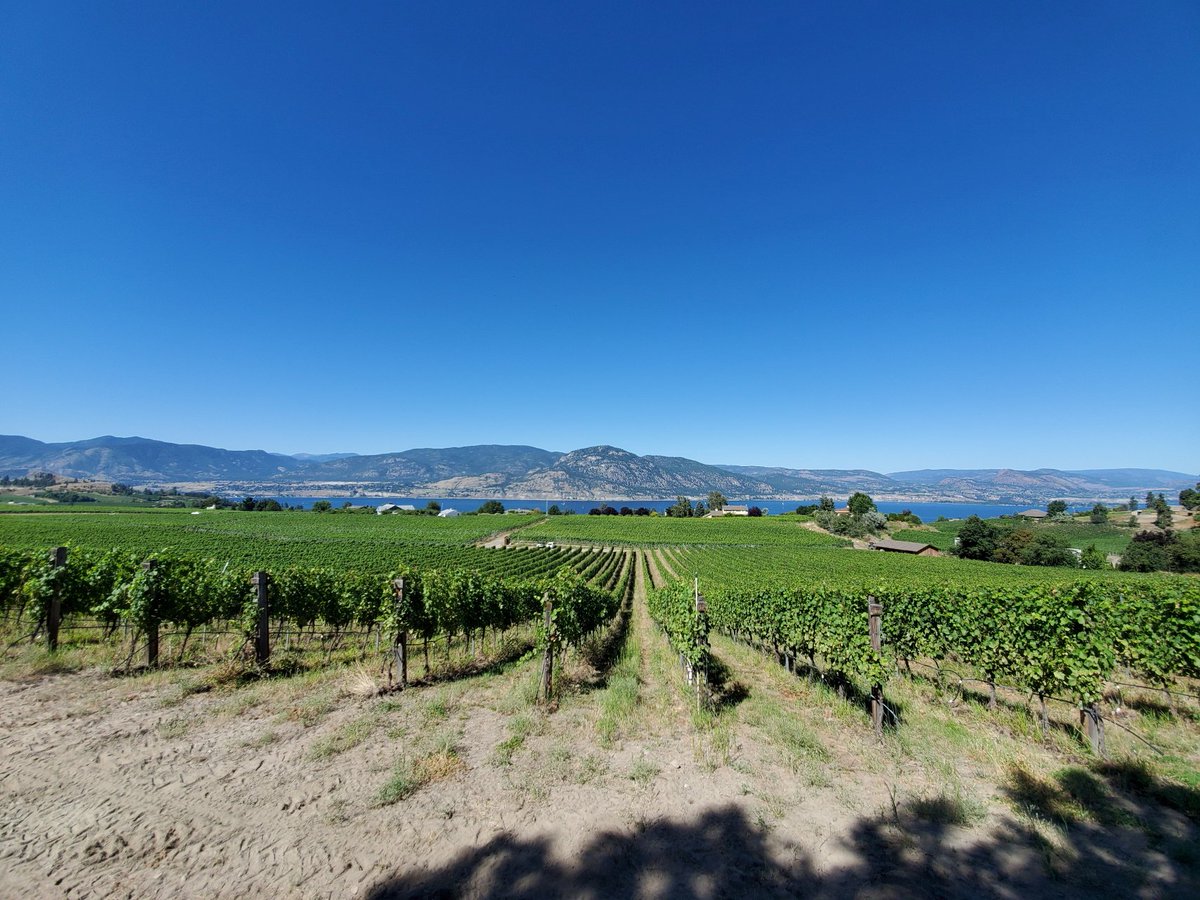 Pacific Economic Development Canada (@pacificanen) on Twitter photo Roche familyâs winemaking knowledge dates back six generations to the French Revolution. After making wine in Australia, New Zealand and Spain, they chose to establish <a href="/RocheWines/">Roche Wines</a> in #Penticton.
Learn more via our partners @SDECB: ow.ly/FSvi50LaKN4 Roche familyâs winemaking knowledge dates back six generations to the French Revolution. After making wine in Australia, New Zealand and Spain, they chose to establish <a href="/RocheWines/">Roche Wines</a> in #Penticton.
Learn more via our partners @SDECB: ow.ly/FSvi50LaKN4