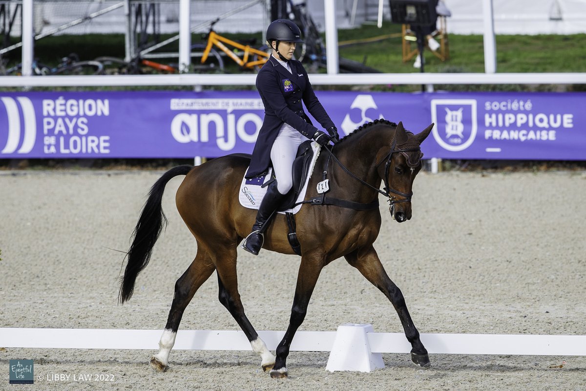 The USA's Caroline Martin's 'comfort zone' seems to be expanding well as we take a look at the leaders and Antipodeans competing on the first day of dressage at FEI WBFSH Eventing World Breeding Championships at Le Mondial Du Lion in France an-eventful-life.com.au/ukeurope/le-li… #eventing