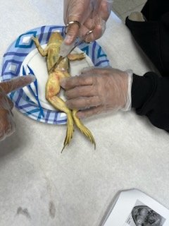 Lukas Smith tweet media