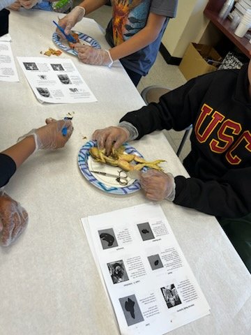 Lukas Smith tweet media