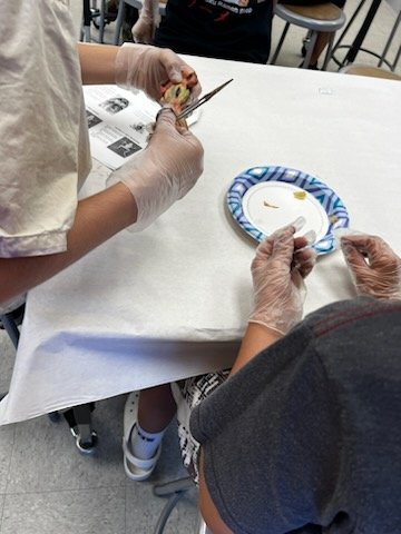 Lukas Smith tweet media