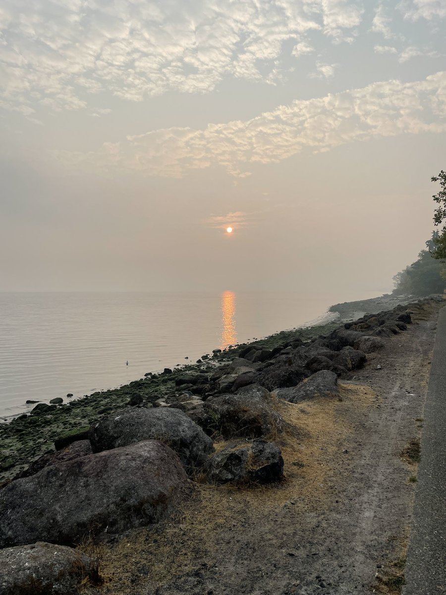 Traveling from one side of the country to another this past week - feeling a bit awestruck by the contrast of nature’s wrath from hurricane Ian clean up to wildfire smoke in the west. #HurricaneIan #wildfires #ClimateCrisis