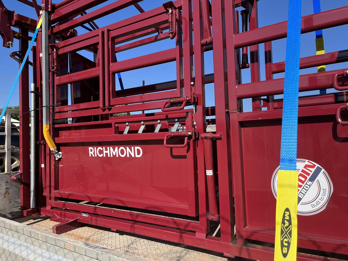 Gillian Fennell tweet media